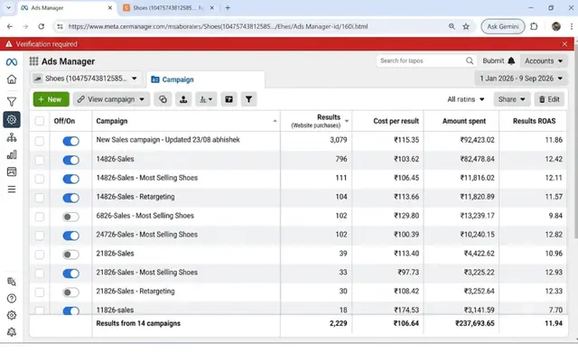 Ads Manager dashboard — 5x to 6x ROAS range (not attributed to any individual) — 2